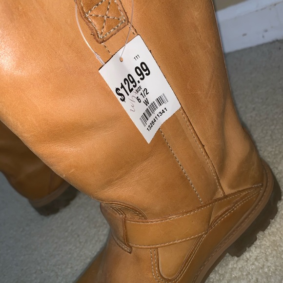 Timberlands - Picture 5 of 5